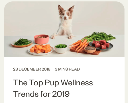 Screenshot 2024-12-10 at 11.01.31 AM